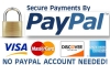 Paypal banner 100